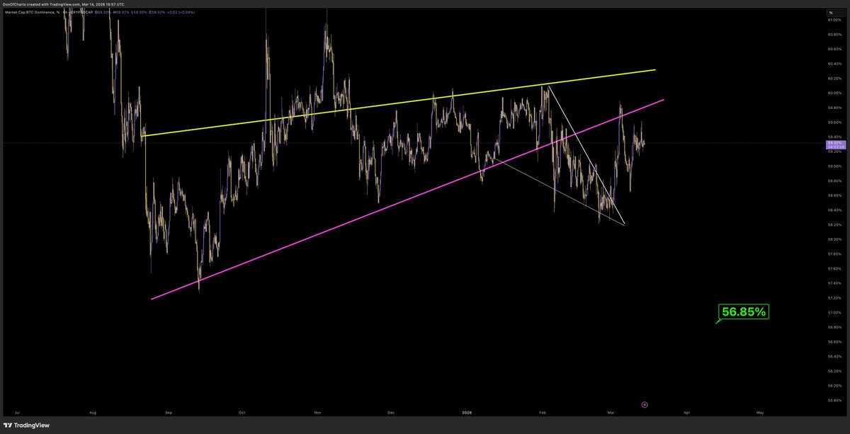 Don 🐂 tweet media