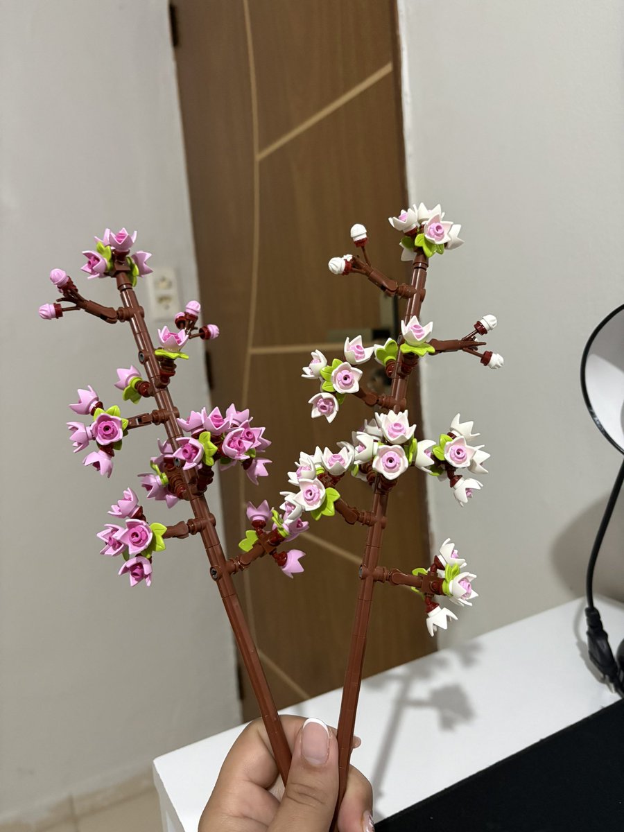 ͏cams ♰ tweet media