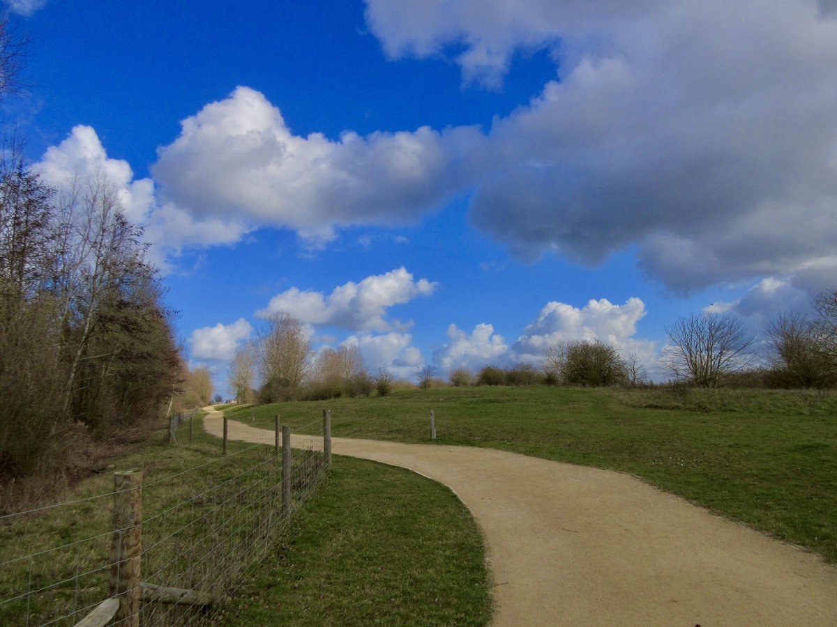 Susan Danielis Marshall tweet media