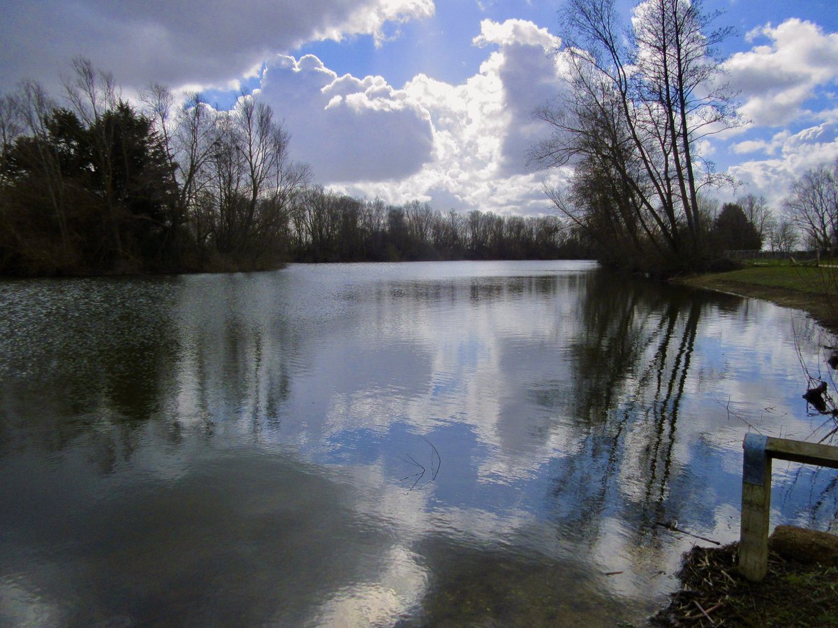 Susan Danielis Marshall tweet media