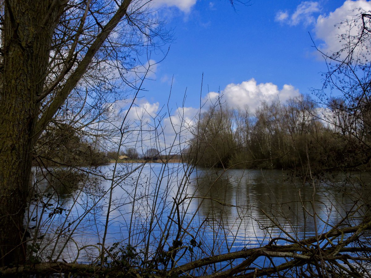 Susan Danielis Marshall tweet media