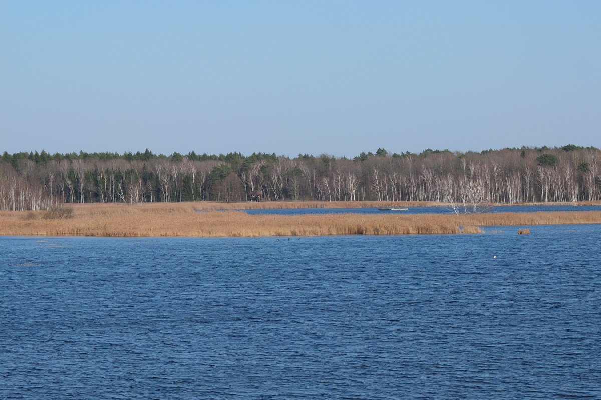 Adam Gospodarek tweet media