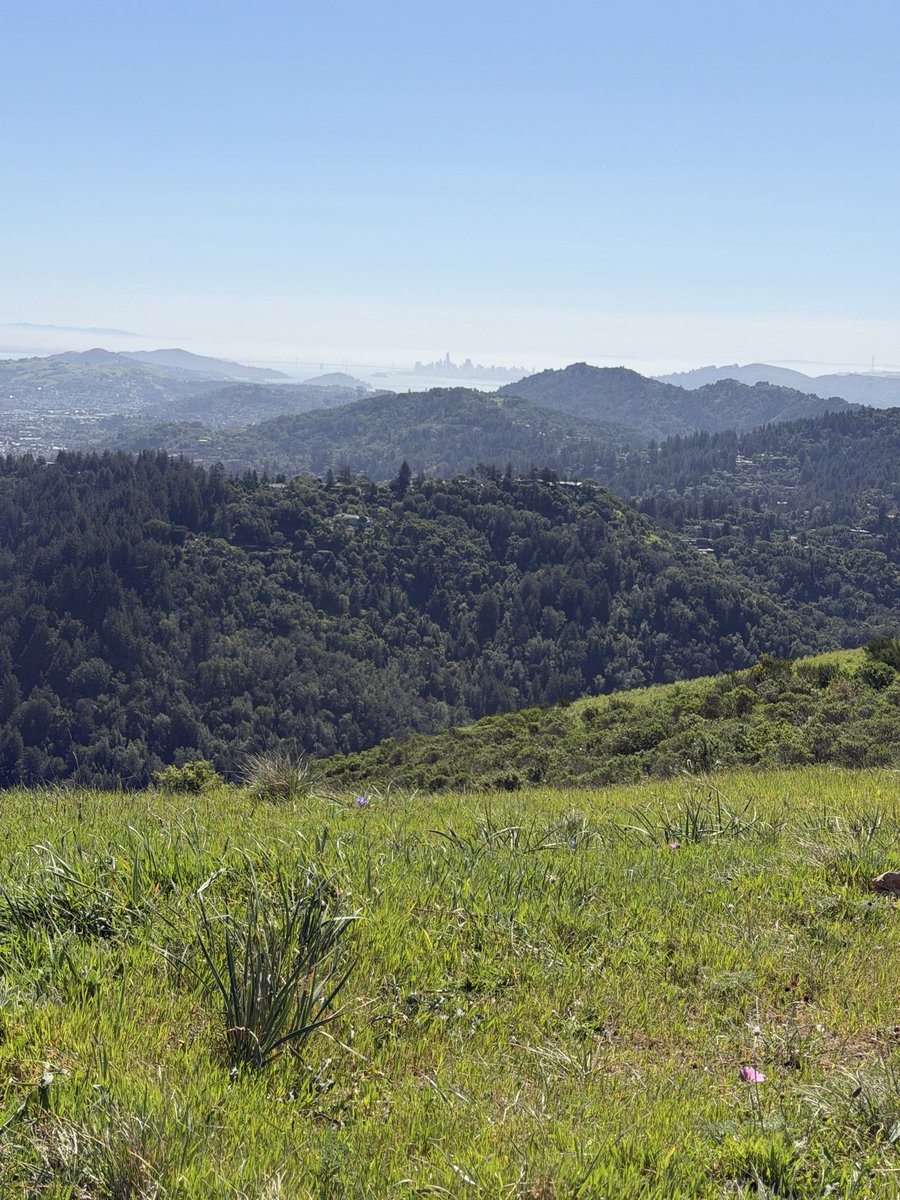 Josh Richman tweet media