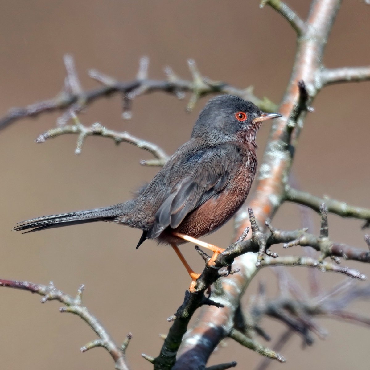 Gary Watton tweet media