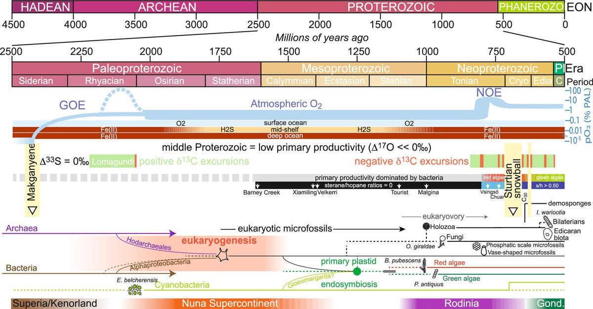 Stephen Turner 🦋 @stephenturner.us tweet media