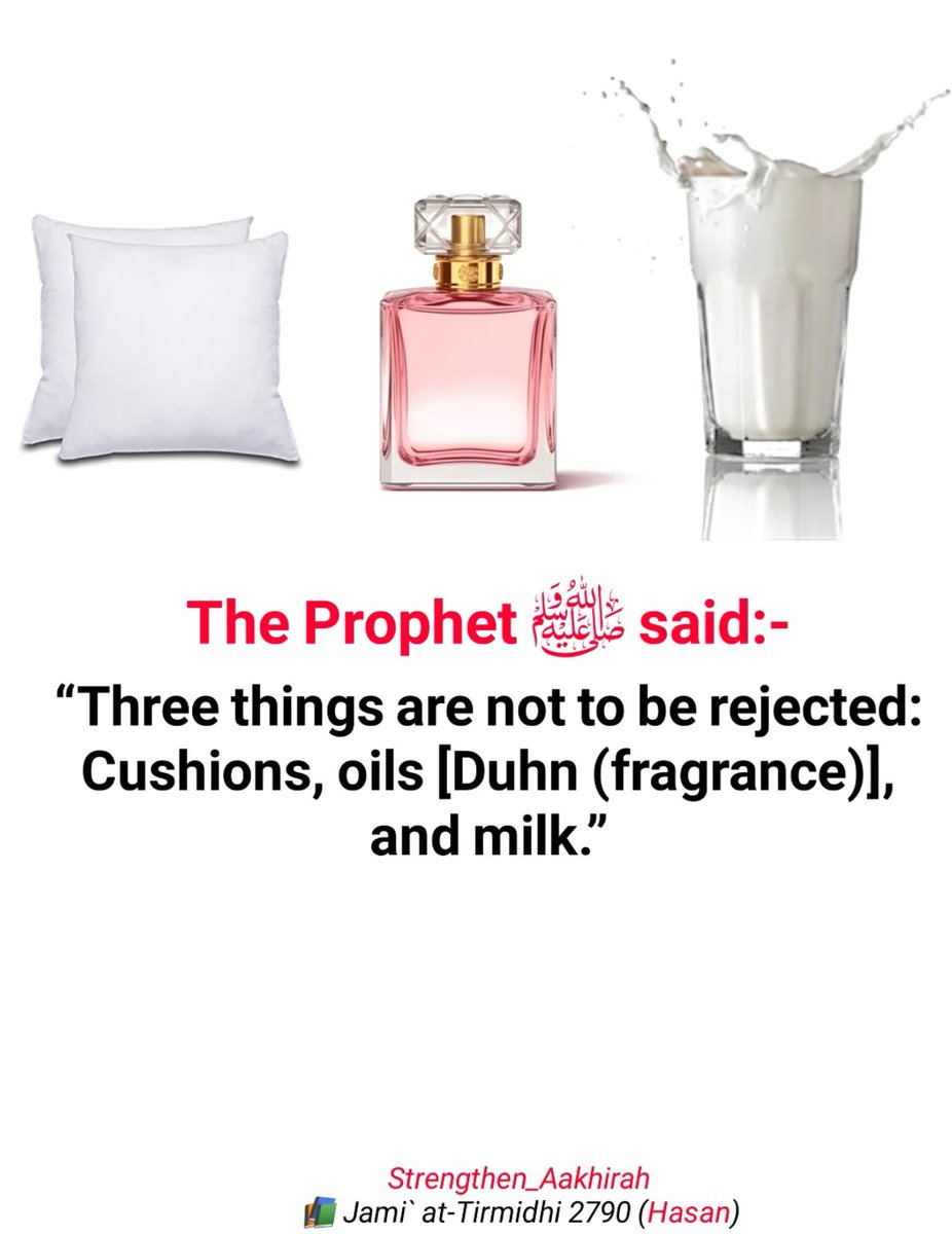 ABBAkatiti👳♂️🇳🇬🇵🇸 tweet media