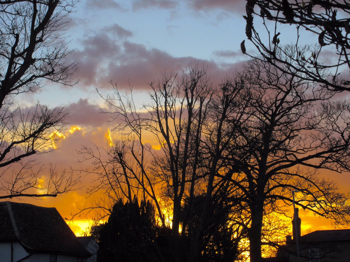 Susan Danielis Marshall tweet media