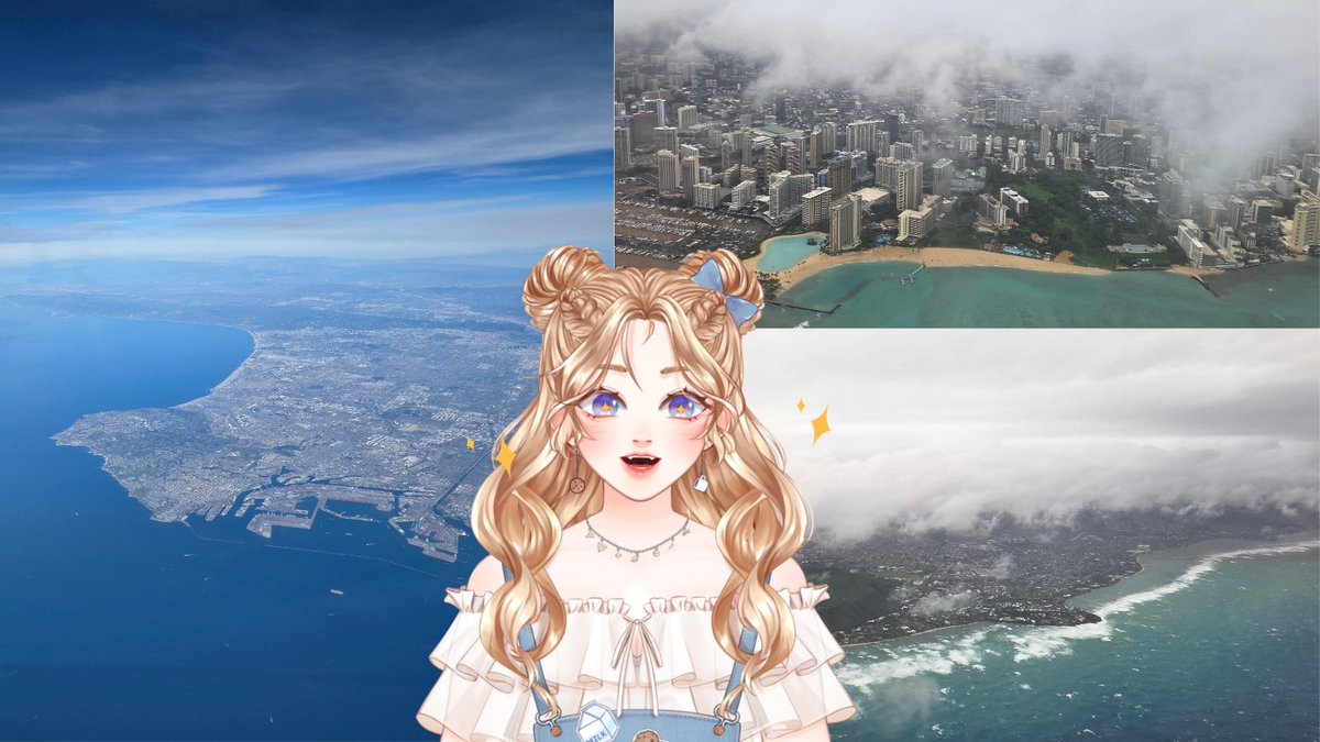 Cookie 🩵🍪 tweet media