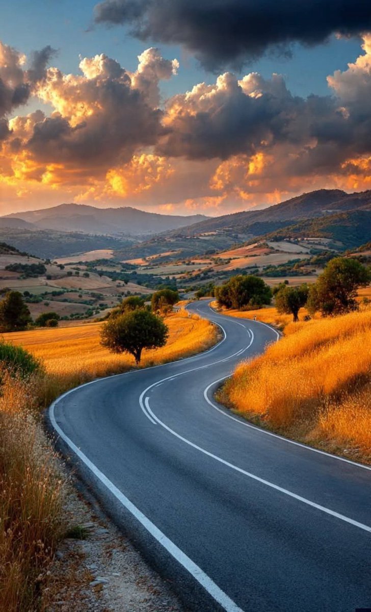 Rada- maja tweet media