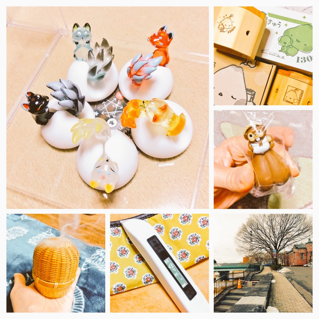 こどはり🦔🌿 tweet media