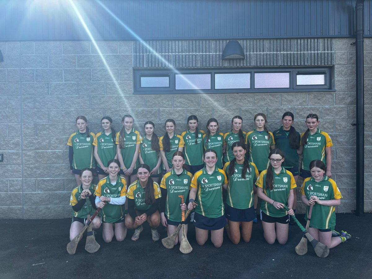 Toomevara Camogie tweet media