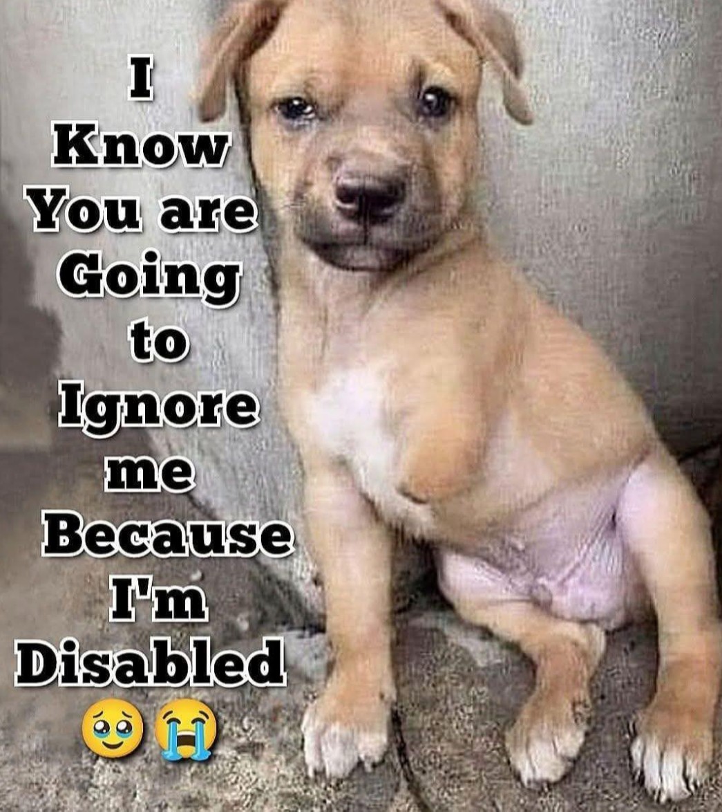 The Four Hearts tweet media