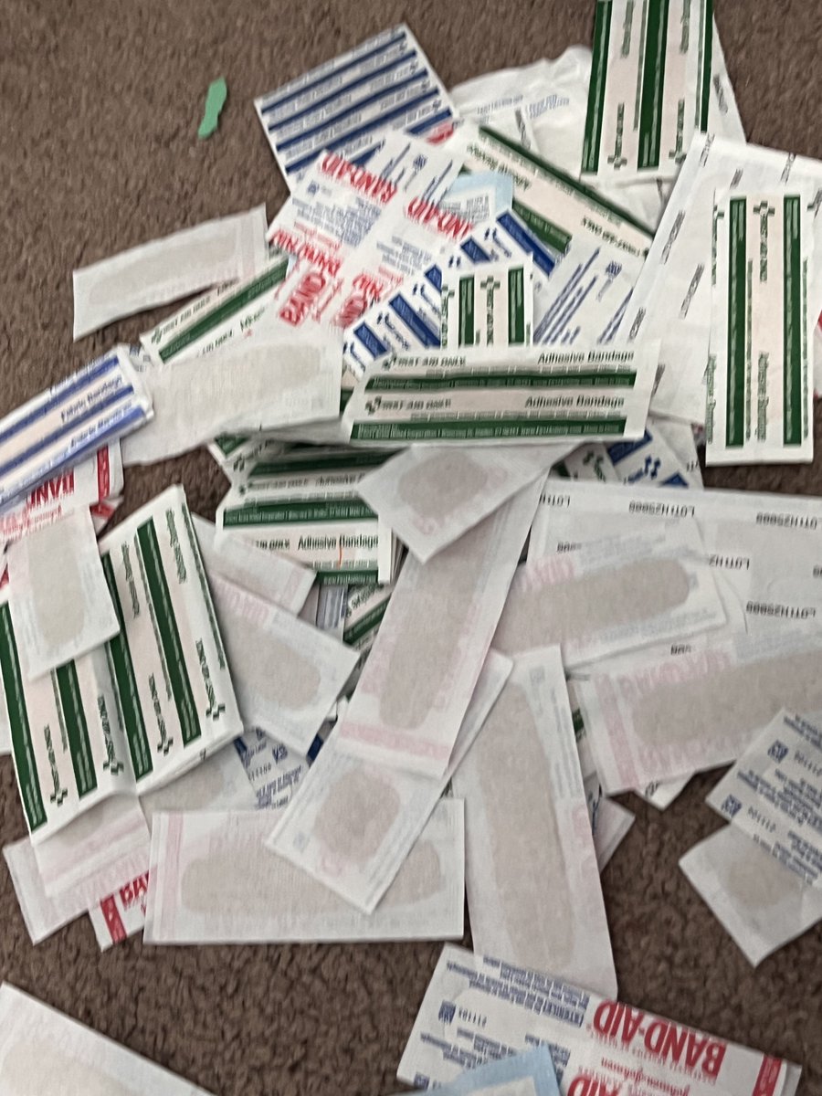 CorvusCorvusCor's tweet photo. separated my medical supplies from the trash pile https://t.co/2frz2ISm06