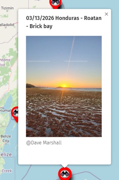 Sargassum Monitoring® tweet media