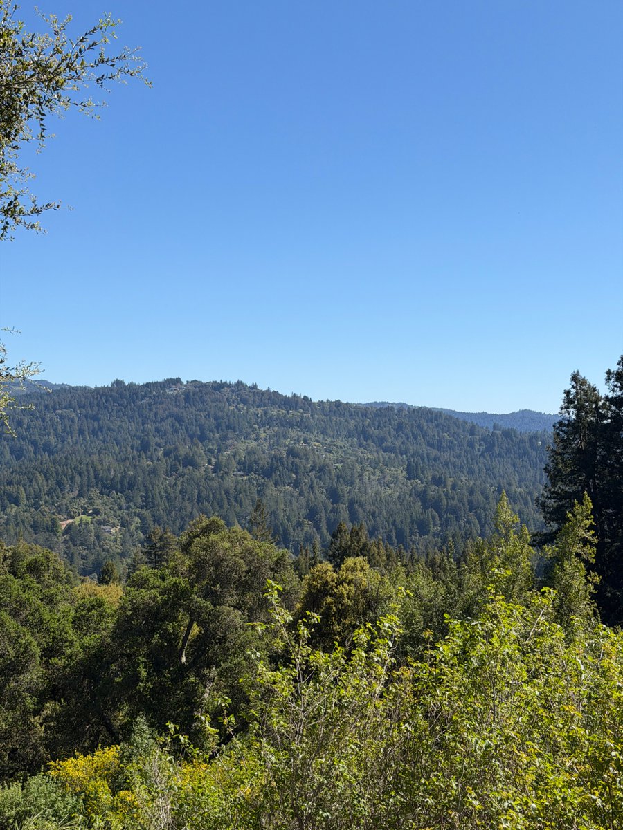 Daniel McAuley tweet media