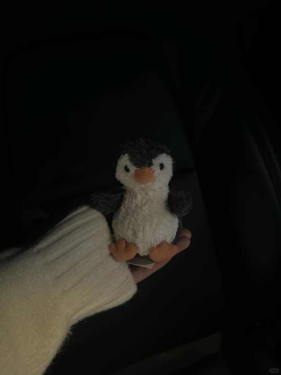 今天开车有点累，小企鹅就窝在旁边盯着我，感觉它在说“哥哥别丧气呀” 可爱到想直接抱回家睡觉