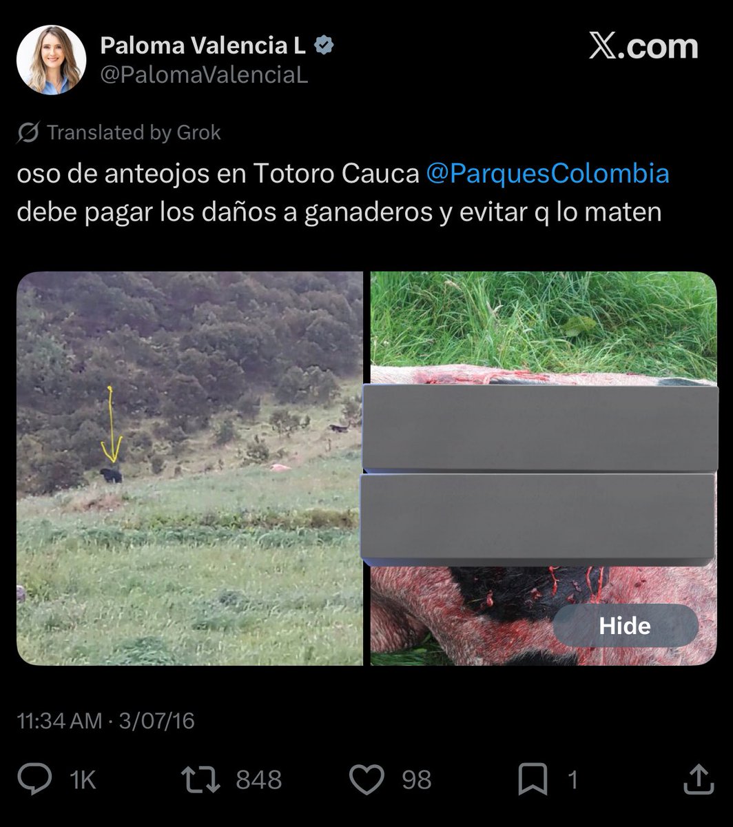 Ustedes ya olvidaron, pero hace 10 años Paloma Valencia exigió que Parques Nacionales le pagara “daños y perjuicios” a los ganaderos de Totoró (Cauca) porque, agárrense, un oso de anteojos (en vía de extinción) se atrevió a comerse unas vacas. Prioridades. Y así quiere gobernar😡