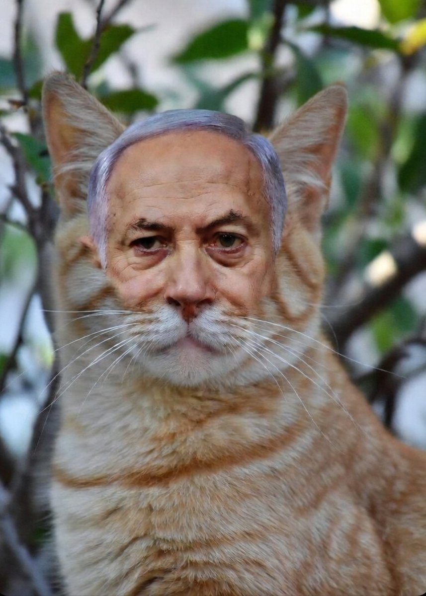 Benyamin Netamiaou mort 4 fois aujourd'hui