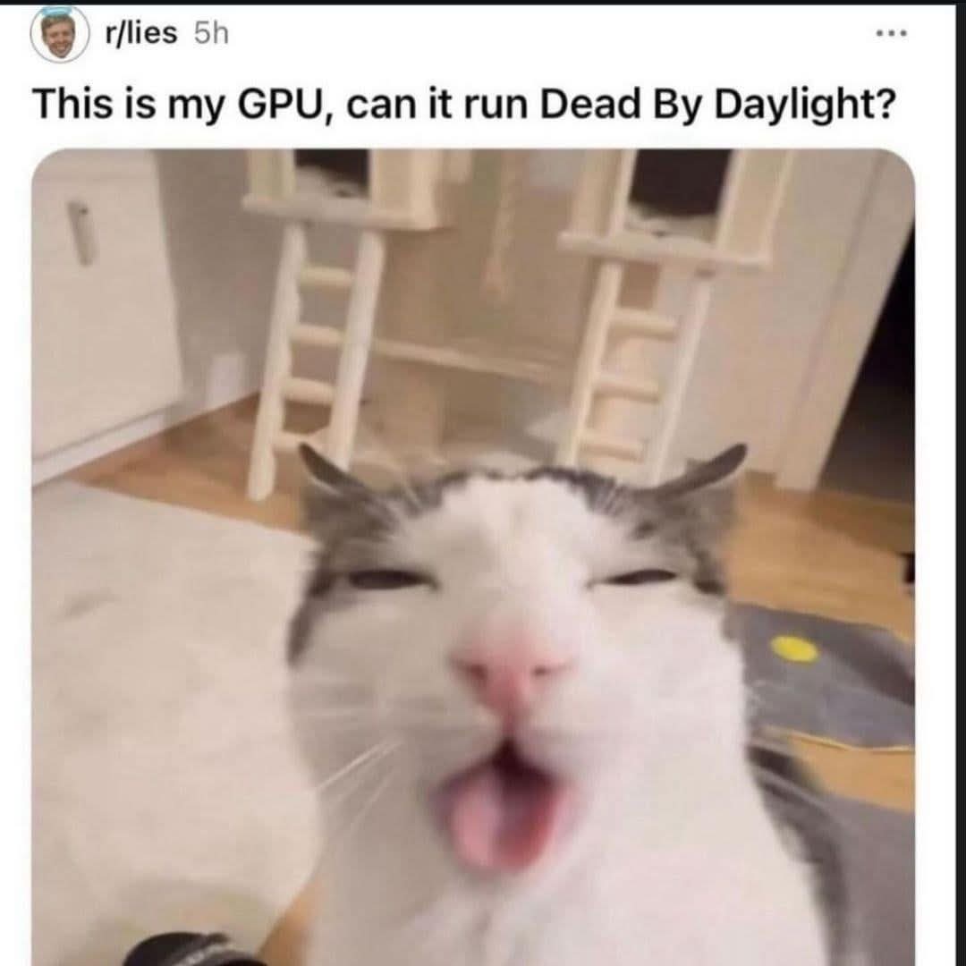 Random memes that I found online tweet media