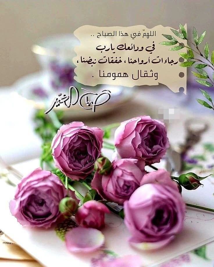 𓆩 ✧ وَتِـــــــيـــــــن ✧ 𓂀 𓆪 ✨ tweet media