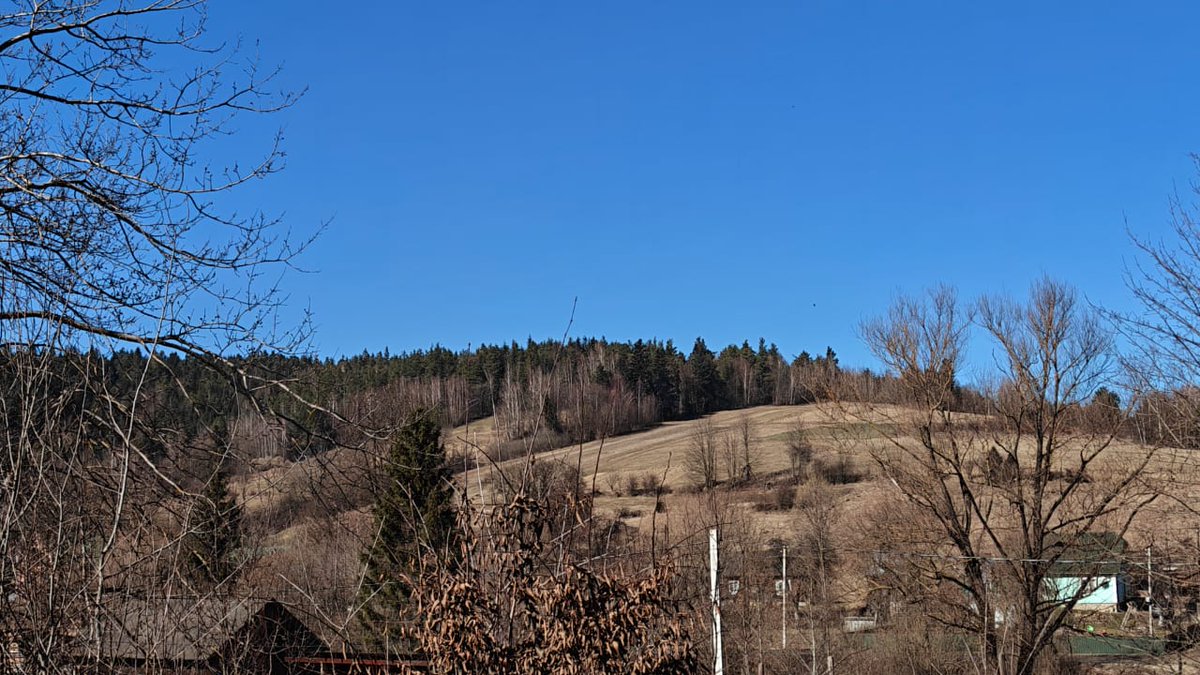 Taras Chuchman’s Invincible Defenders tweet media