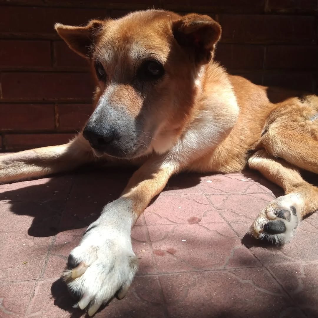 DiscasRodandoxLaVida tweet media