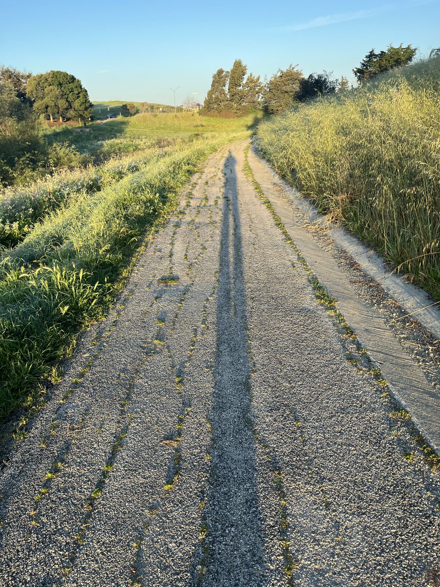 Galloway Woodworks⚓ tweet media