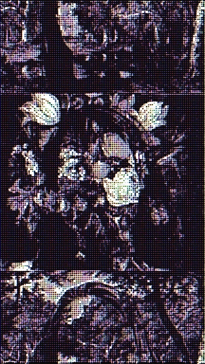LamentWorks's tweet photo. overgrowth https://t.co/jLWSrnjsO4