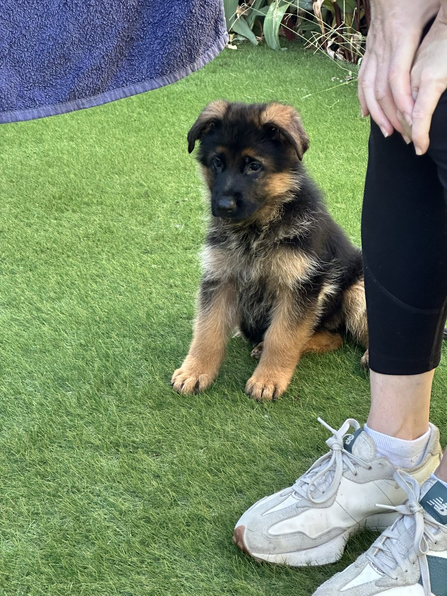 Brian Beattie tweet media