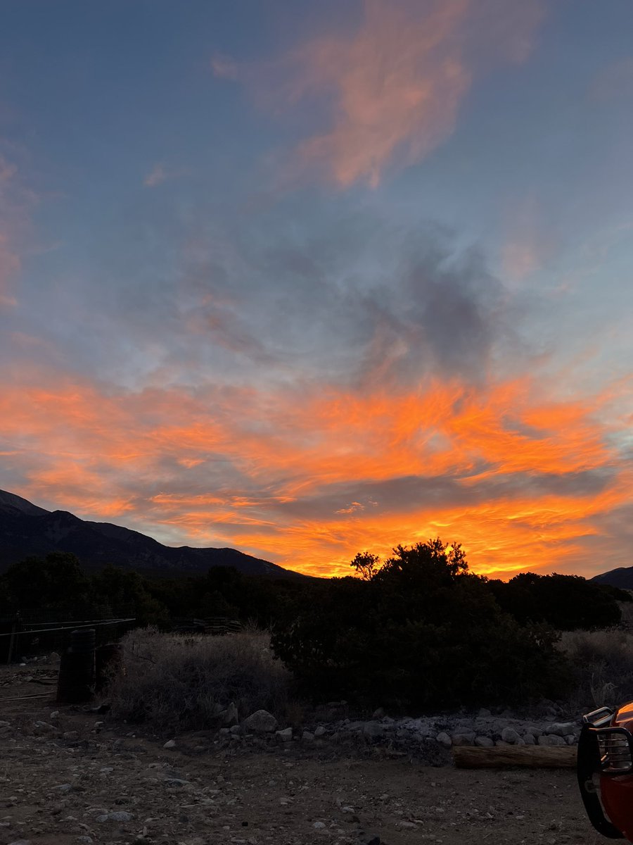 Halsey Wilder The Off Grid Girl tweet media