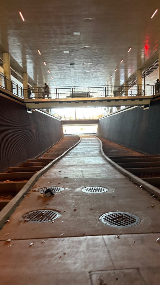 mikeyg 🙀 tweet media