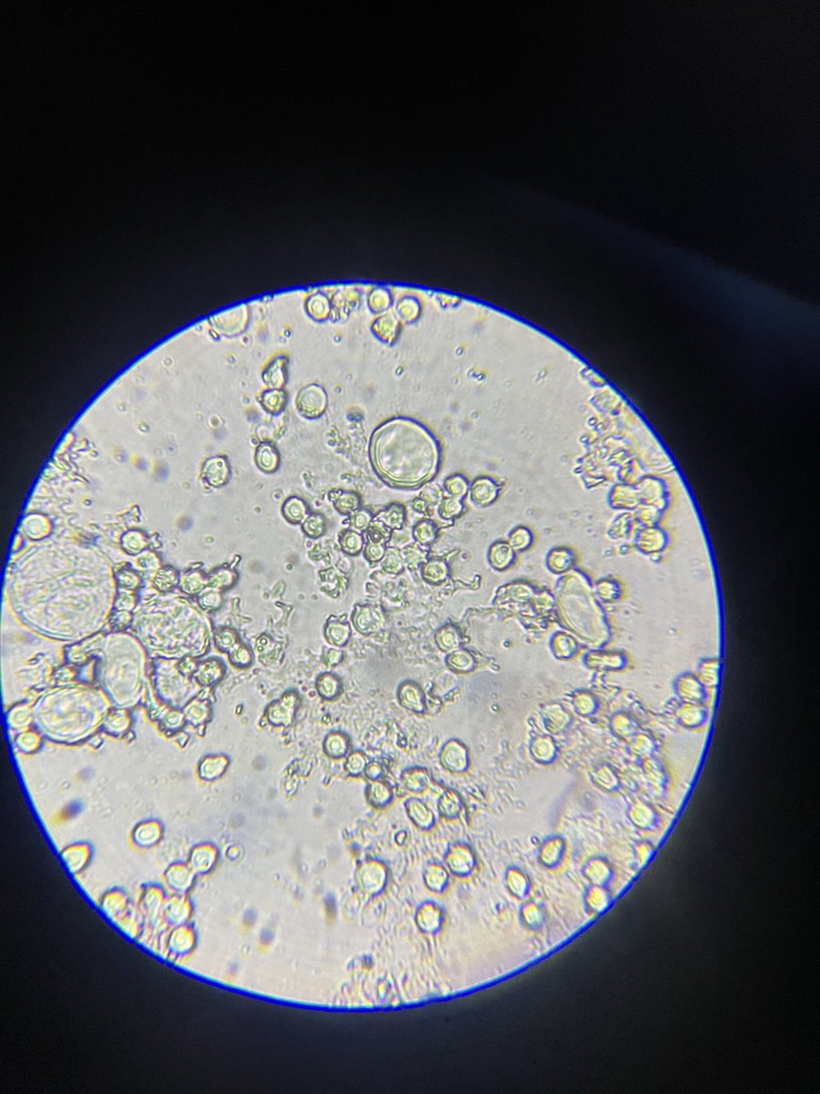 microbialDM tweet picture