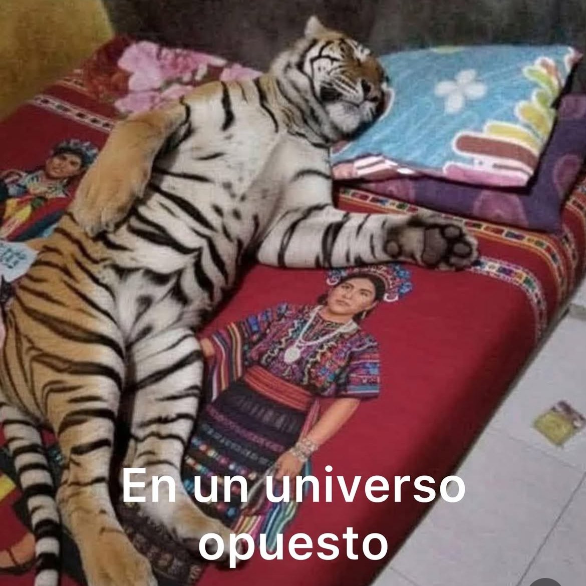 JAJSJSS