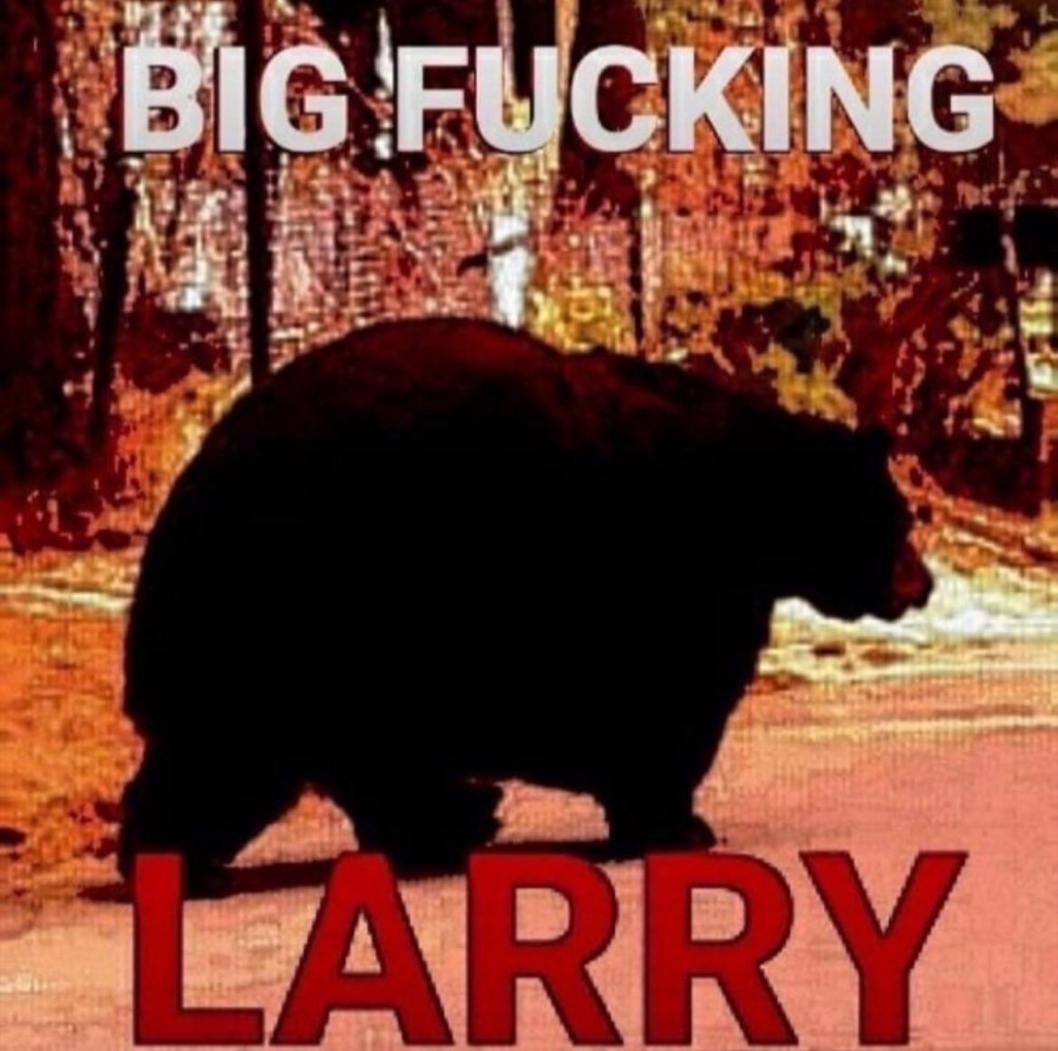 High Character tweet media