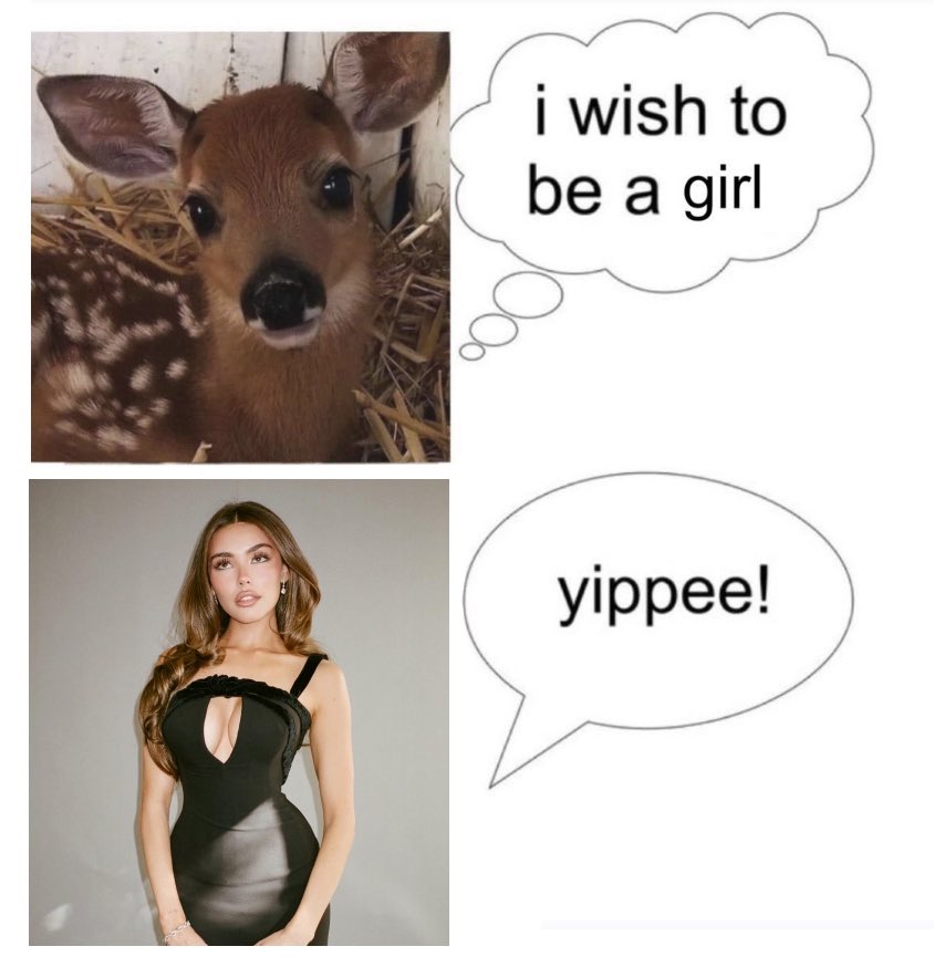 best of madison beer (@madisondrip) on Twitter photo 