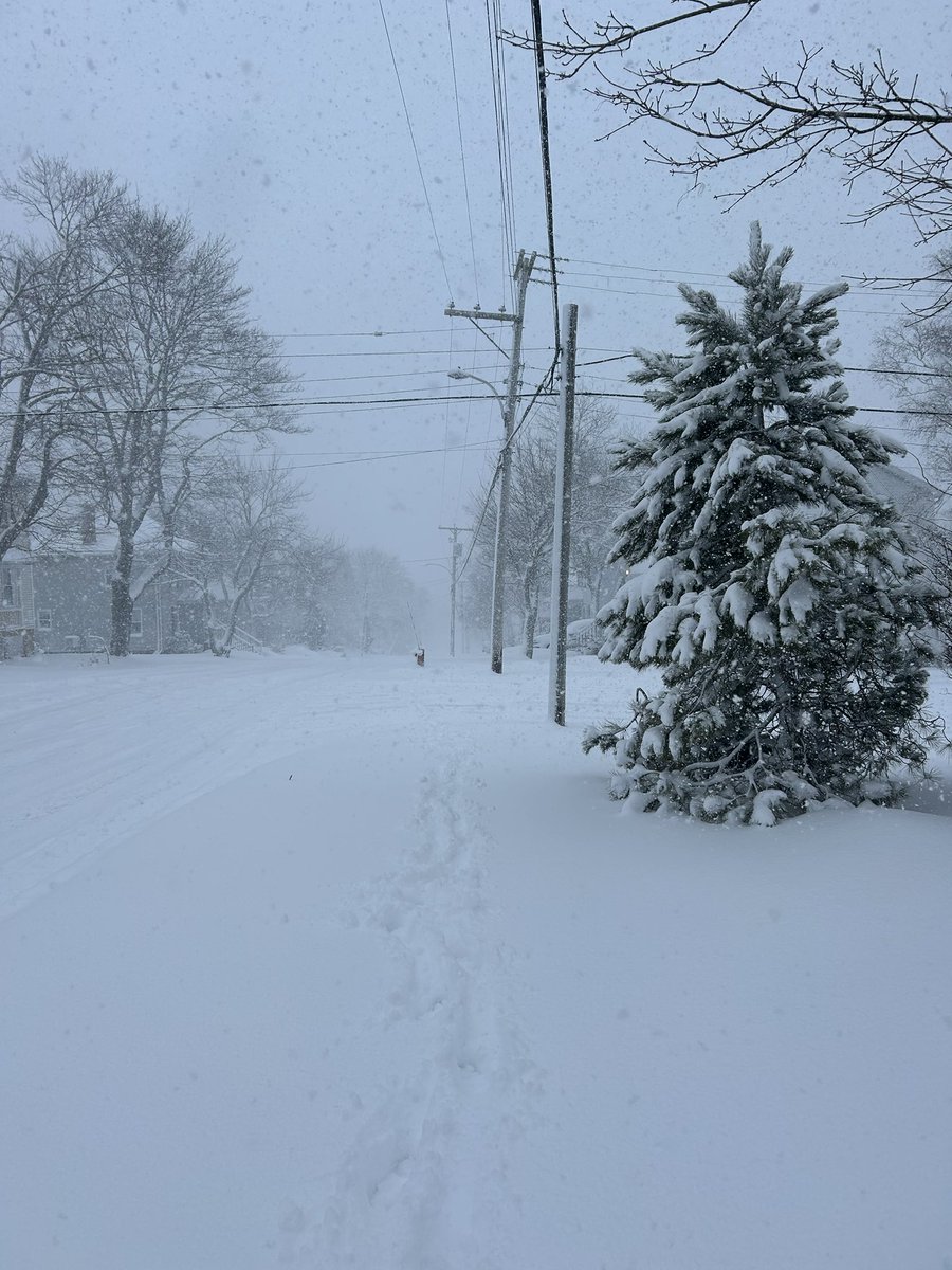 Paul MacDougall tweet media