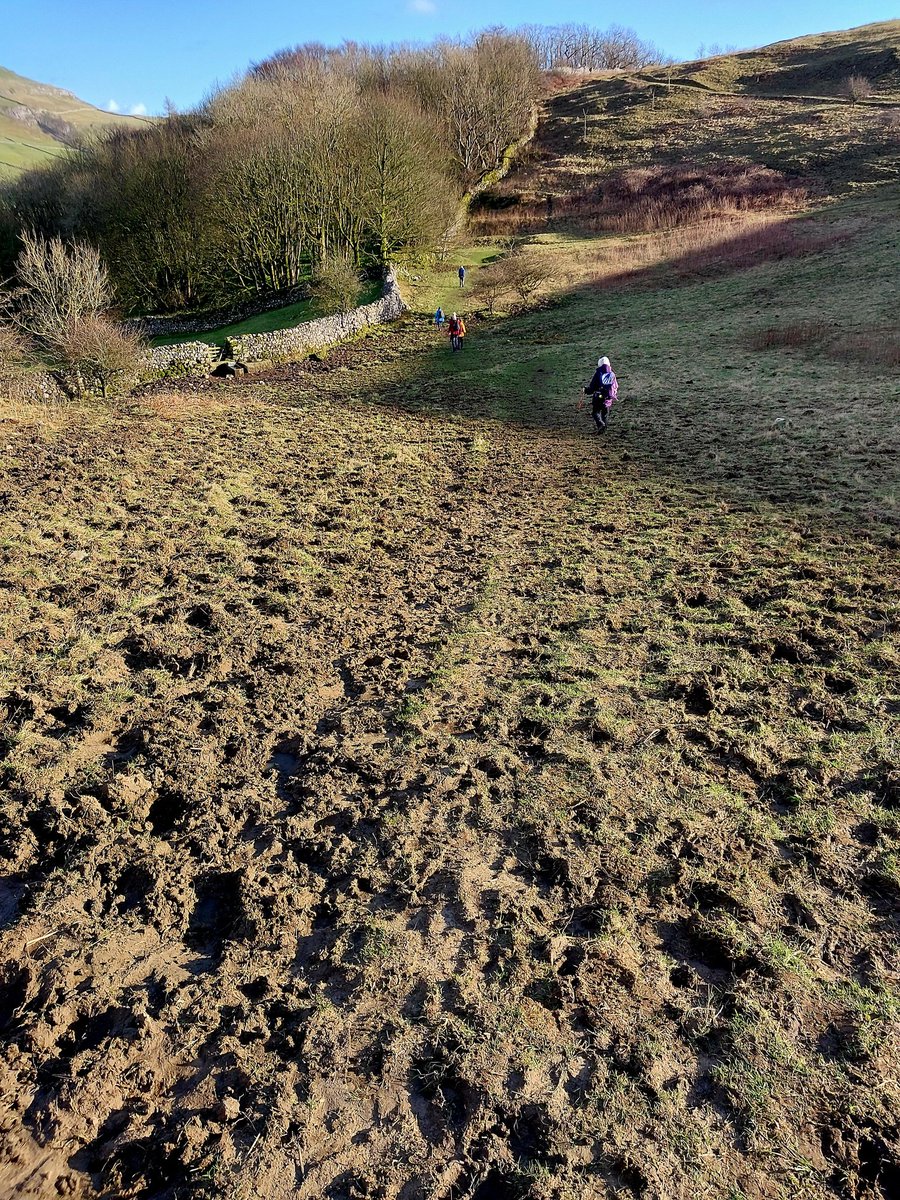 Nick Marston tweet media