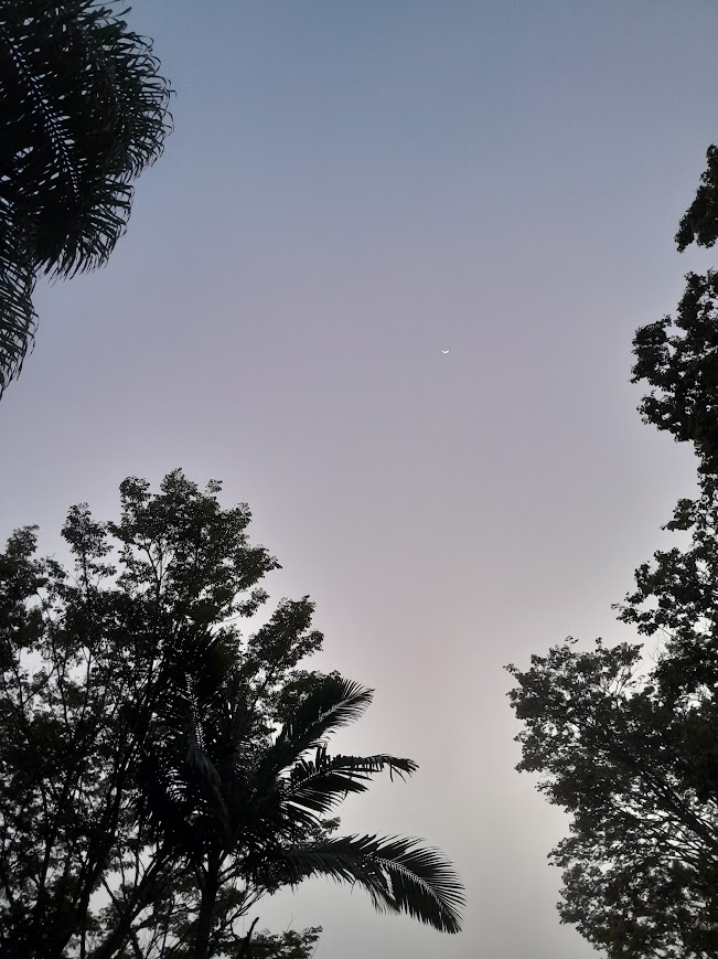 lucas ︱o tal do catraca tweet media