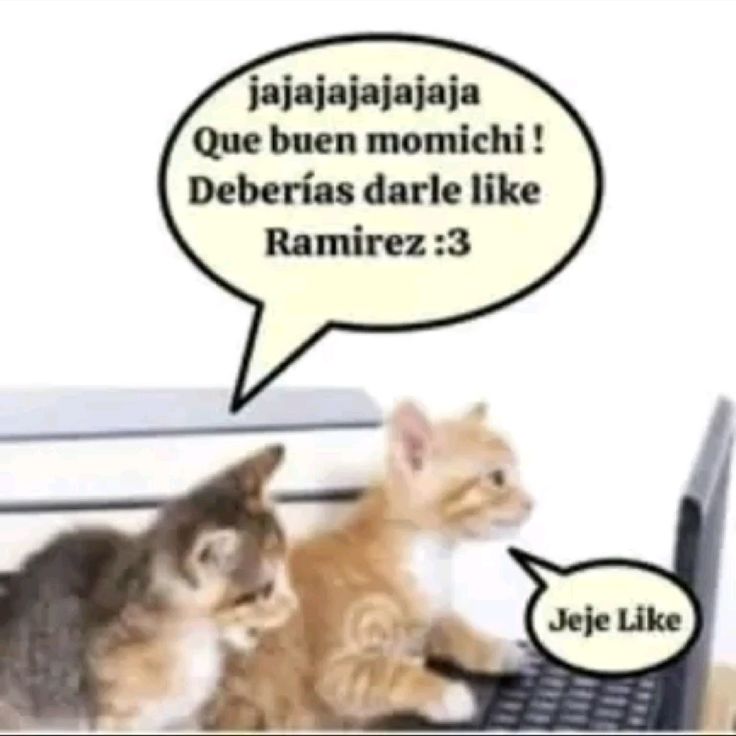 🎄❄️ Renma ❄️🎄 tweet media