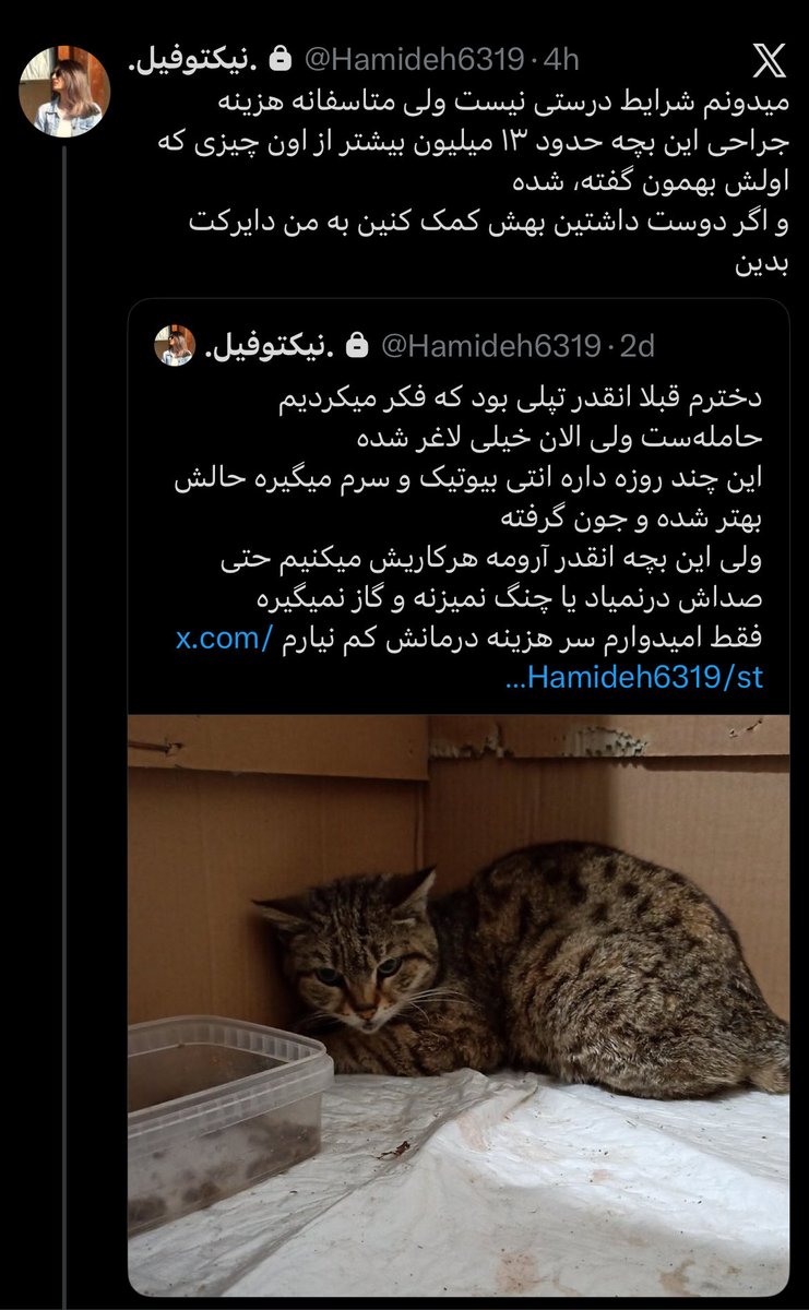 MetroSavaar tweet media