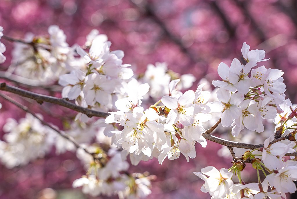 Embajada de China en Argentina tweet media