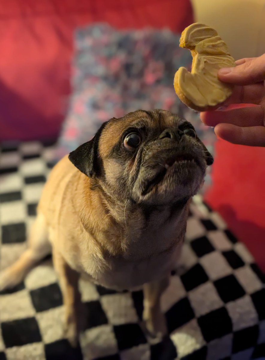 Thomas ‘TomSka’ Ridgewell tweet media