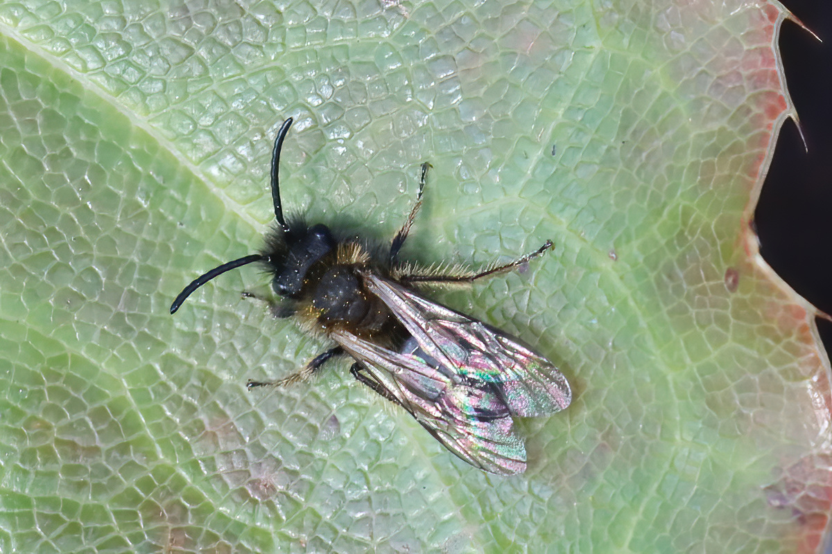 David Emley tweet media