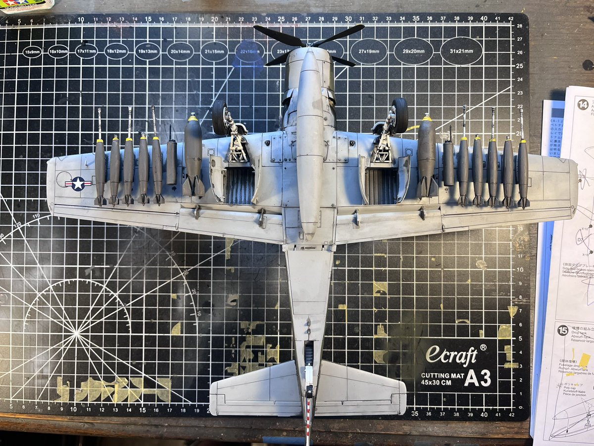 Vader’s Model Desk🇺🇸 tweet media