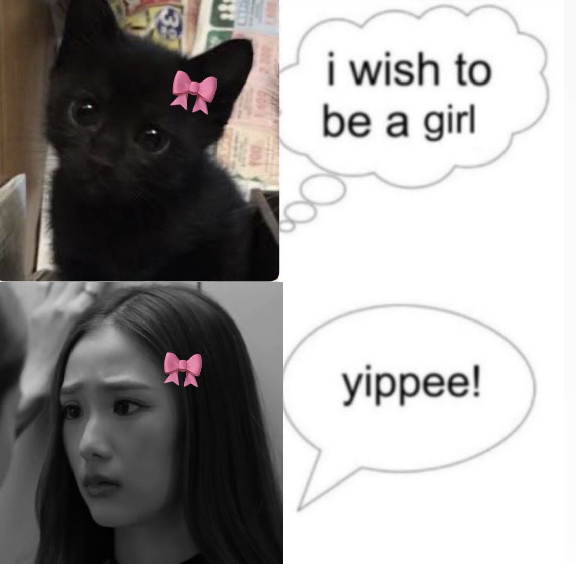 the cutest human cat 🥺🎀

#filmracha #ฟิล์มรชานันท์ 🐈‍⬛