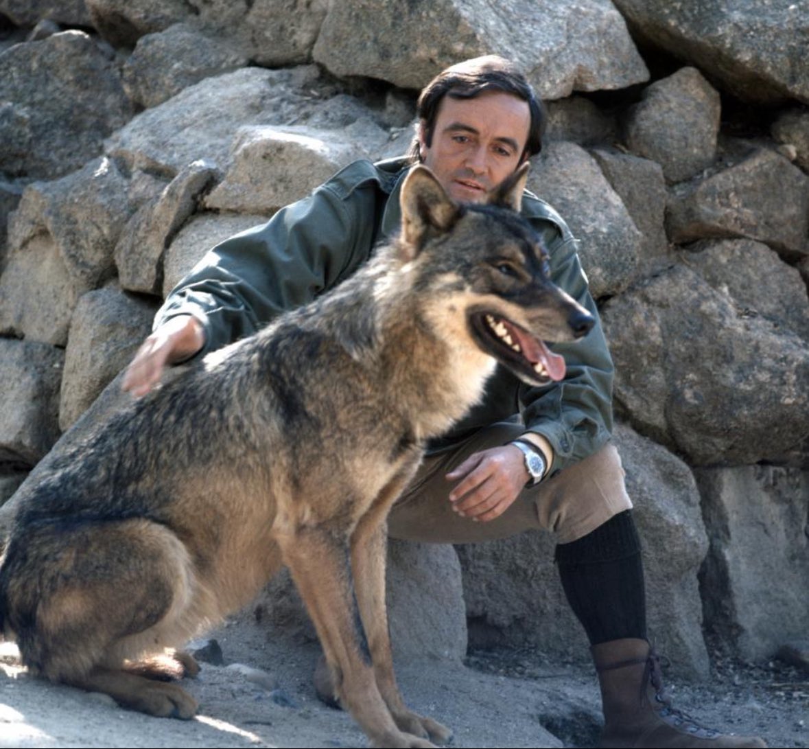 oaragon_esp's tweet photo. Este 14 de marzo se cumplen 46 años sin el gran Félix Rodríguez De la Fuente… fue un adelantado a su tiempo que nos enseñó a sentir respeto y pasión por la naturaleza a millones de personas…. Su programa Fauna Ibérica en TVE siempre estará en nuestro recuerdo. ✋🏻🐺🦅🌍 https://t.co/etnJ8eAV8i