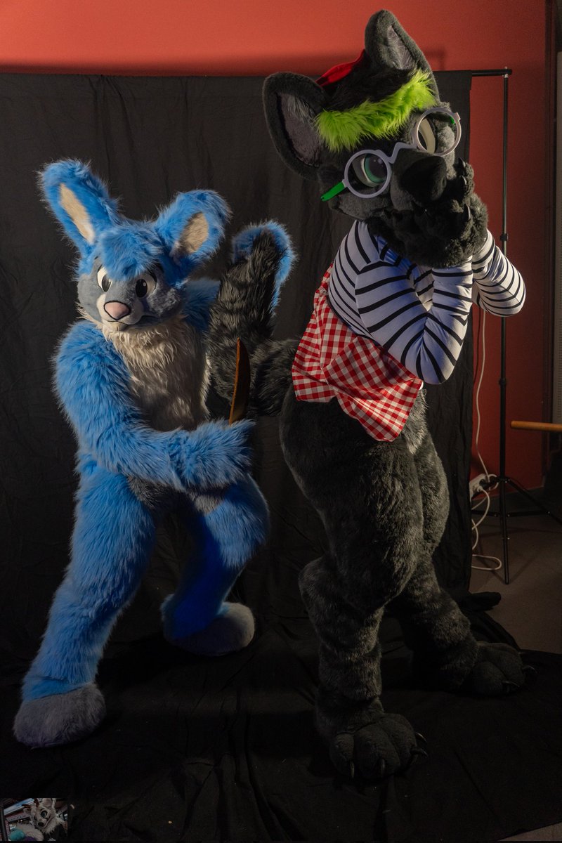 BUSTER🐰🇫🇷🏳️‍🌈 tweet media