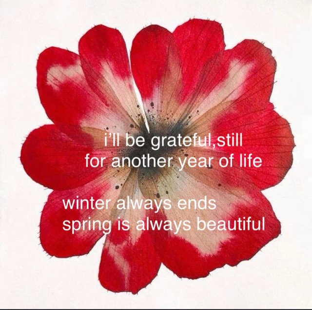 sarah (@heavenbrat) on Twitter photo 