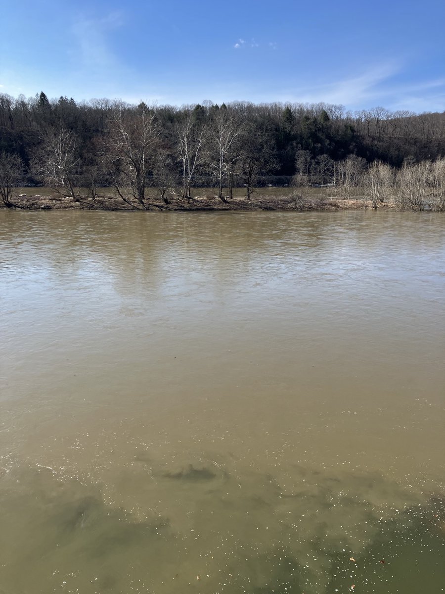 Andy Whitcomb tweet media