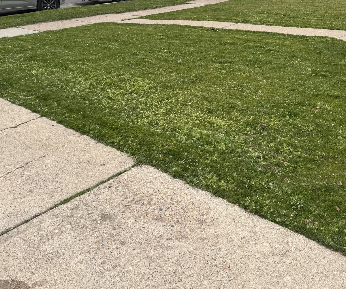 Troy Sariah tweet media